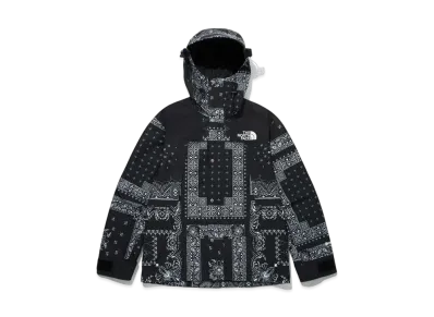 The North Face NOVELTY GTX MOUNTAIN JACKET "Black"