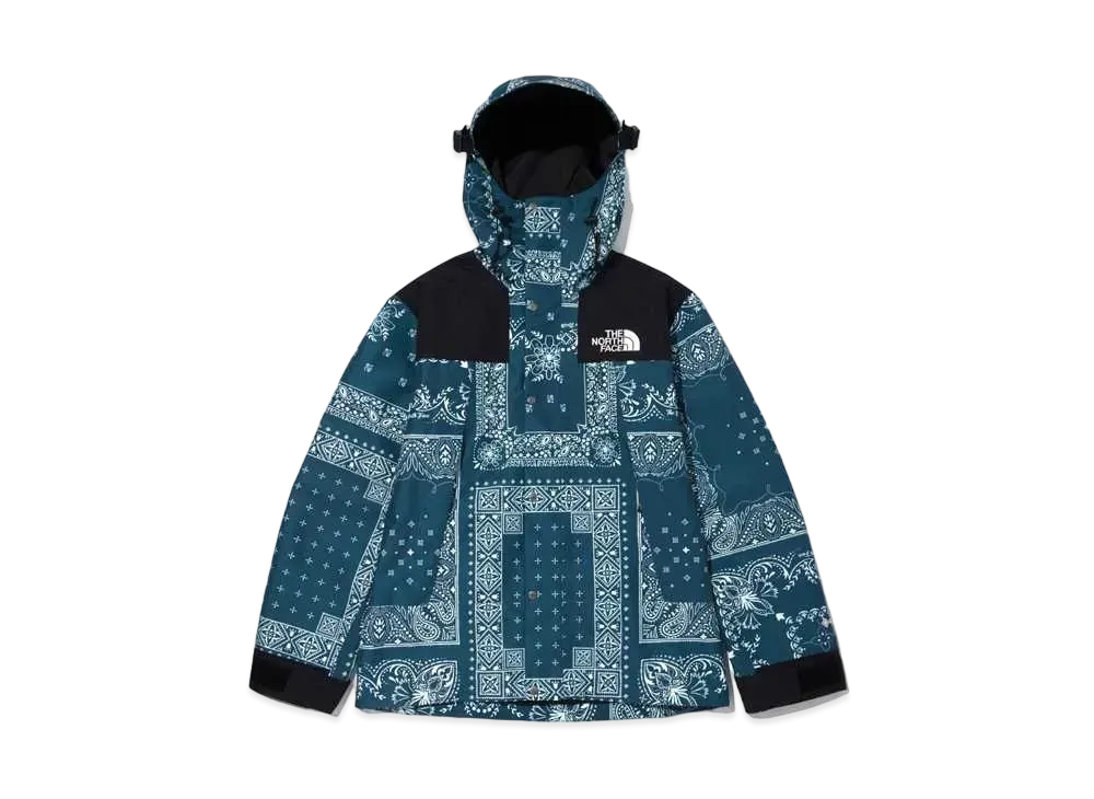 ザノースフェイス ノベルティ GTX マウンテン ジャケット "ピーコック ブルー"