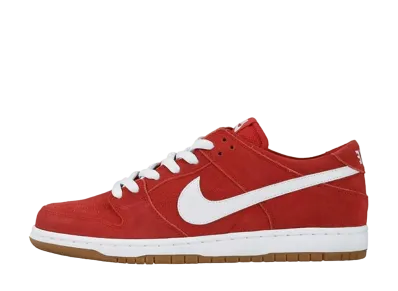 ナイキ SB ダンク ロー プロ "イショッド ウェア"