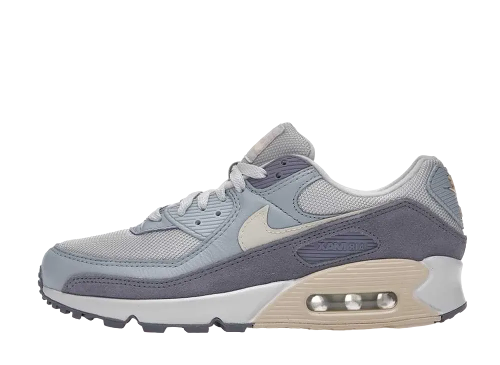 Nike Air Max 90 PRM "Ashen Slate"