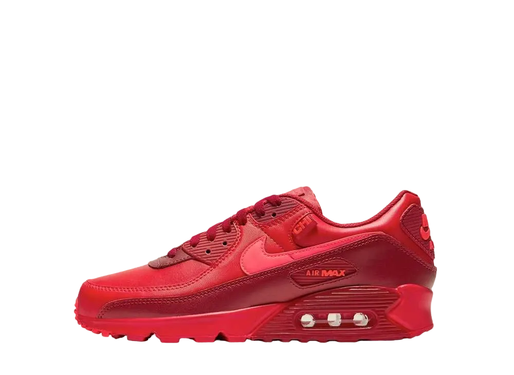 Nike GS Air Max 90 "City Special Chicago"