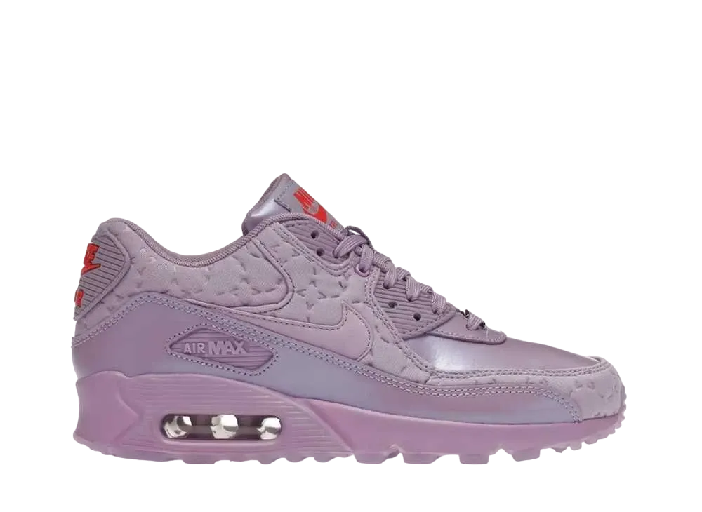 ナイキ ウィメンズ エアマックス90 "パリスマカルーン"