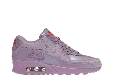 Nike Women's Air Max 90 "Paris Macaroon"