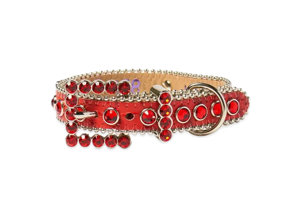 Supreme / B.B. Simon Studded Dog Collar 