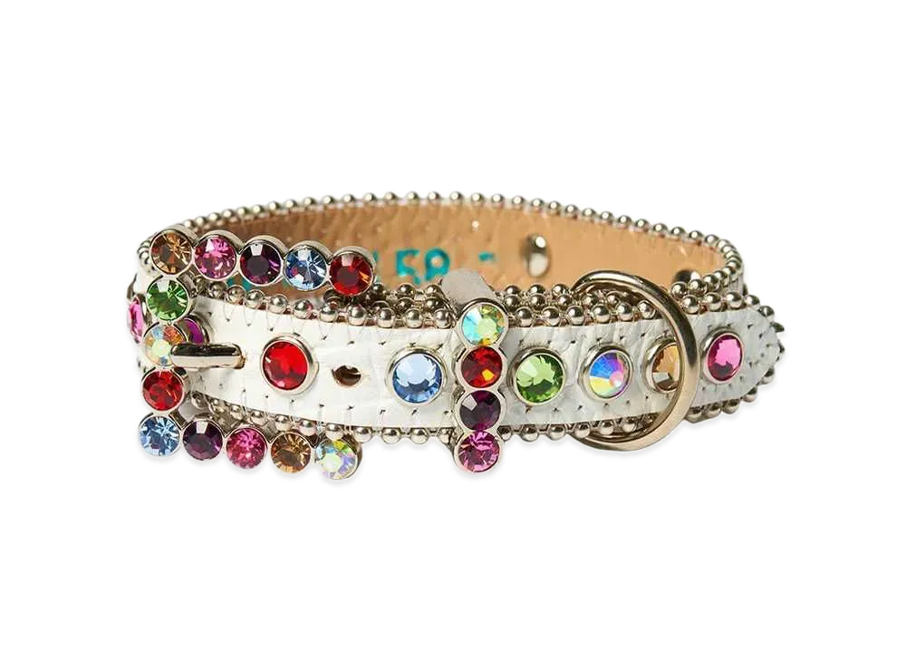 Supreme / B.B. Simon Studded Dog Collar 