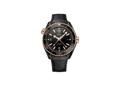 Omega Sea Master PLANET OCEAN 600M Co-Axial Master Chronometer GMT 45.5MM