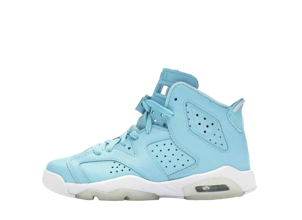 ナイキ GS エアジョーダン6 レトロ "パントネ"