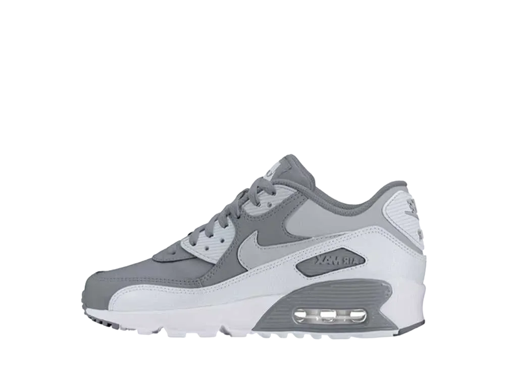 ナイキ GS エアマックス90 LTR "クールグレー/ウルフグレー"