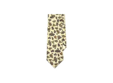 Noah Paisley Necktie