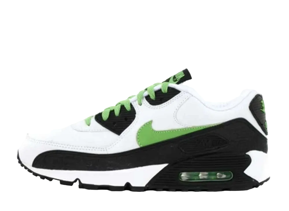 ナイキ エアマックス90 "リジュービネイションパック"