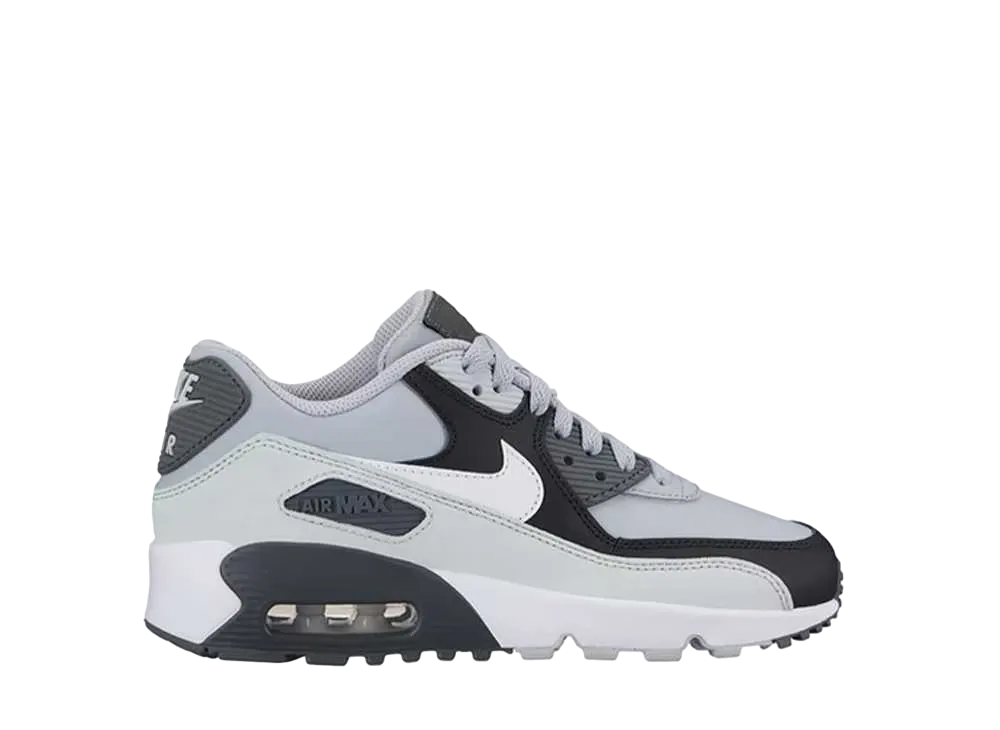 Nike GS Air Max 90 "Leather Wolf Grey/Black"
