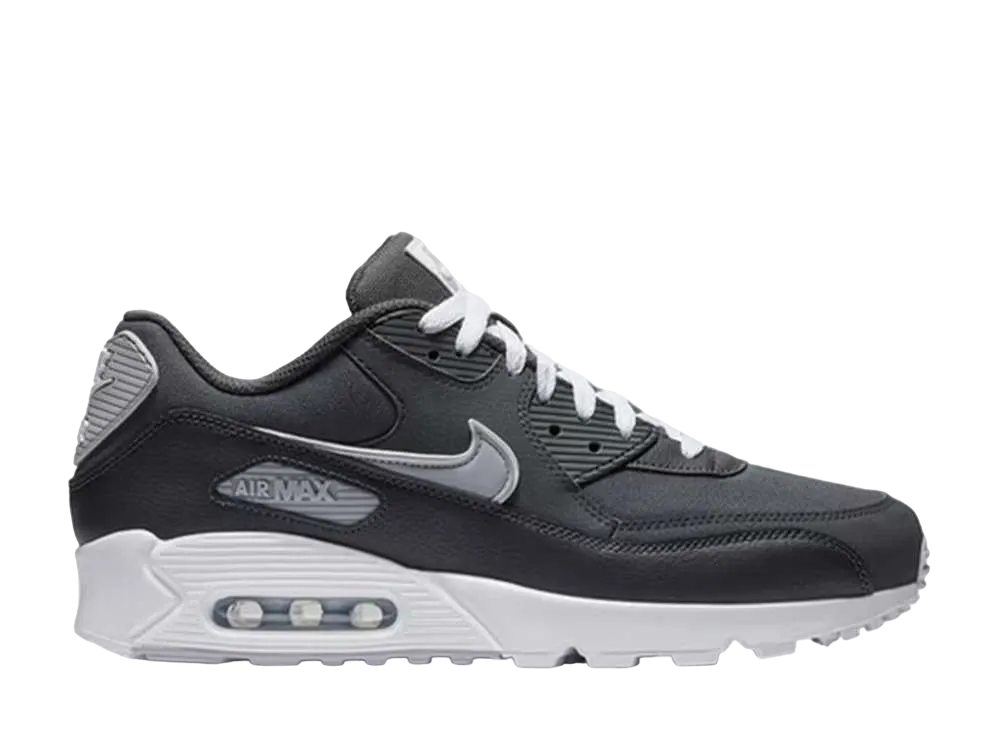 Nike Air Max 90 "Anthracite/Wolf Grey/White"