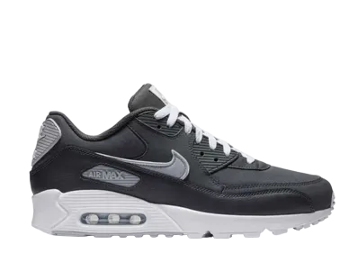 Nike Air Max 90 "Anthracite/Wolf Grey"