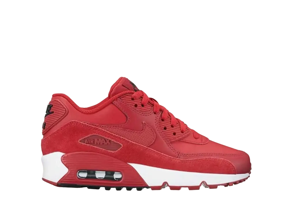 Nike GS Air Max 90 "Gym Red"