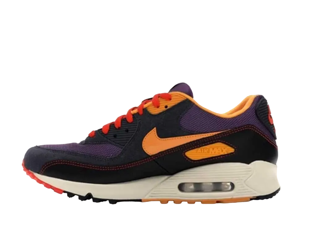 Nike Air Max 90 "Powerwall"