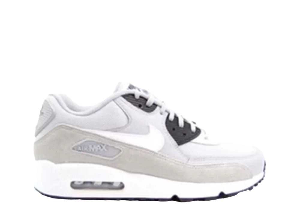 Nike Women's Air Max 90 "Wolf Grey/White"