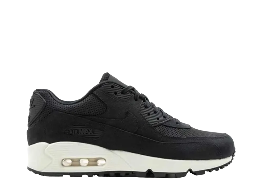 ナイキ ウィメンズ エアマックス90 "ピナクルブラック"