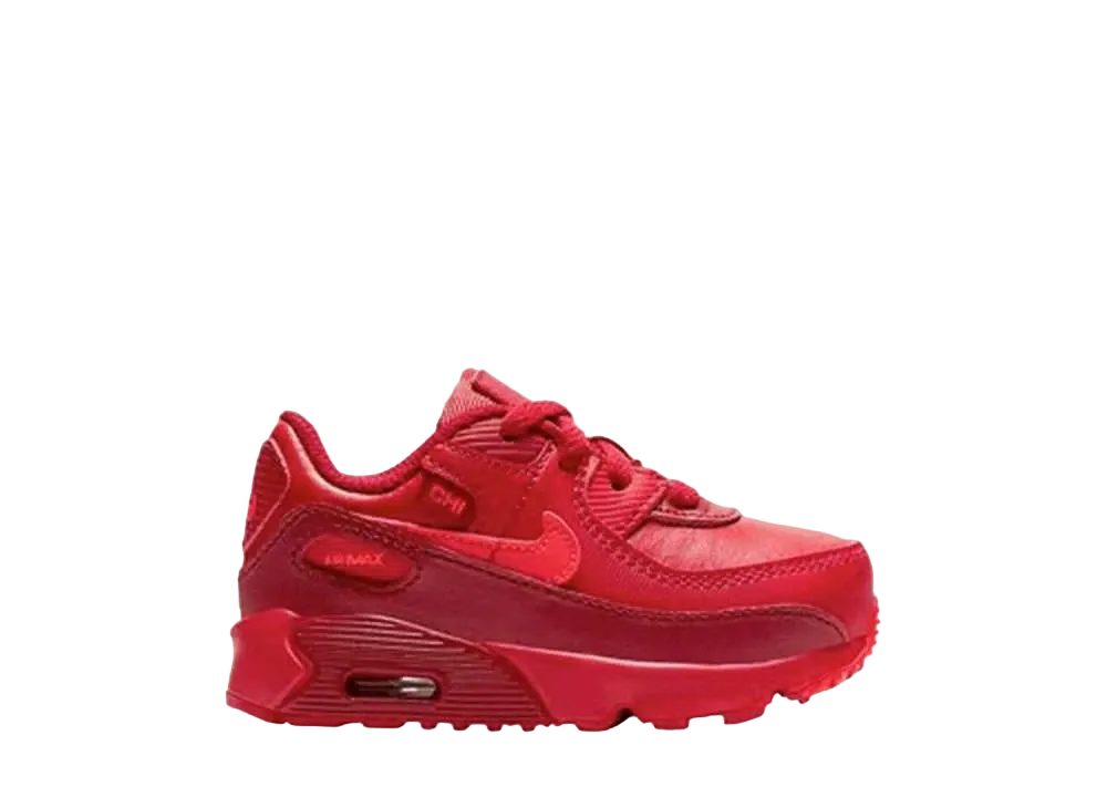 Nike TD Air Max 90 "City Special Chicago"