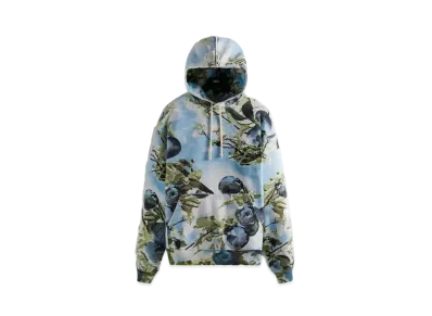 KITH Ny To The World Hoodie "Majestic"