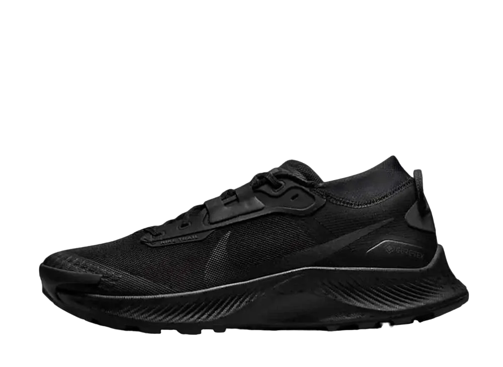 Nike Pegasus Trail 3 Gore-Tex 