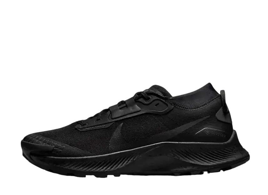 ナイキ ペガサス トレイル 3 ゴア テックス "ブラック/ダーク スモーク グレー"