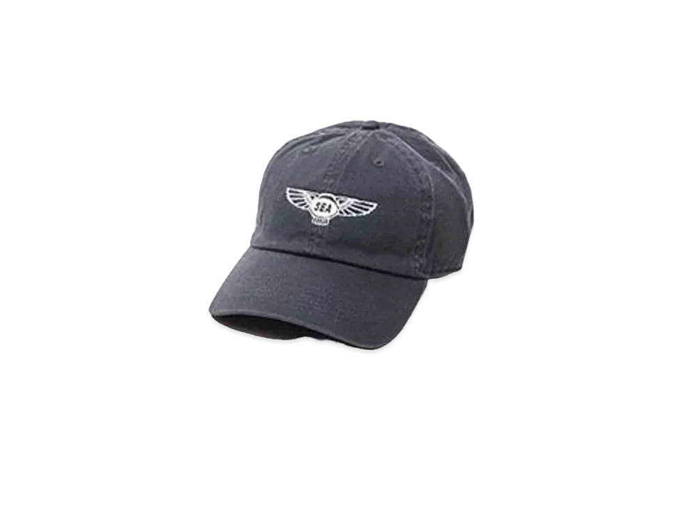 WIND AND SEA WDS x DEVILOCK (WING) CAP "Gray"