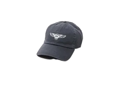 WIND AND SEA WDS x DEVILOCK (WING) CAP "Gray"