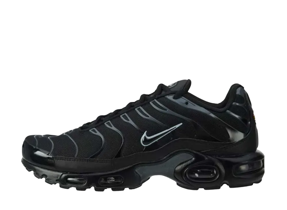 Nike Air Max Plus "Black/Pure Platinum"