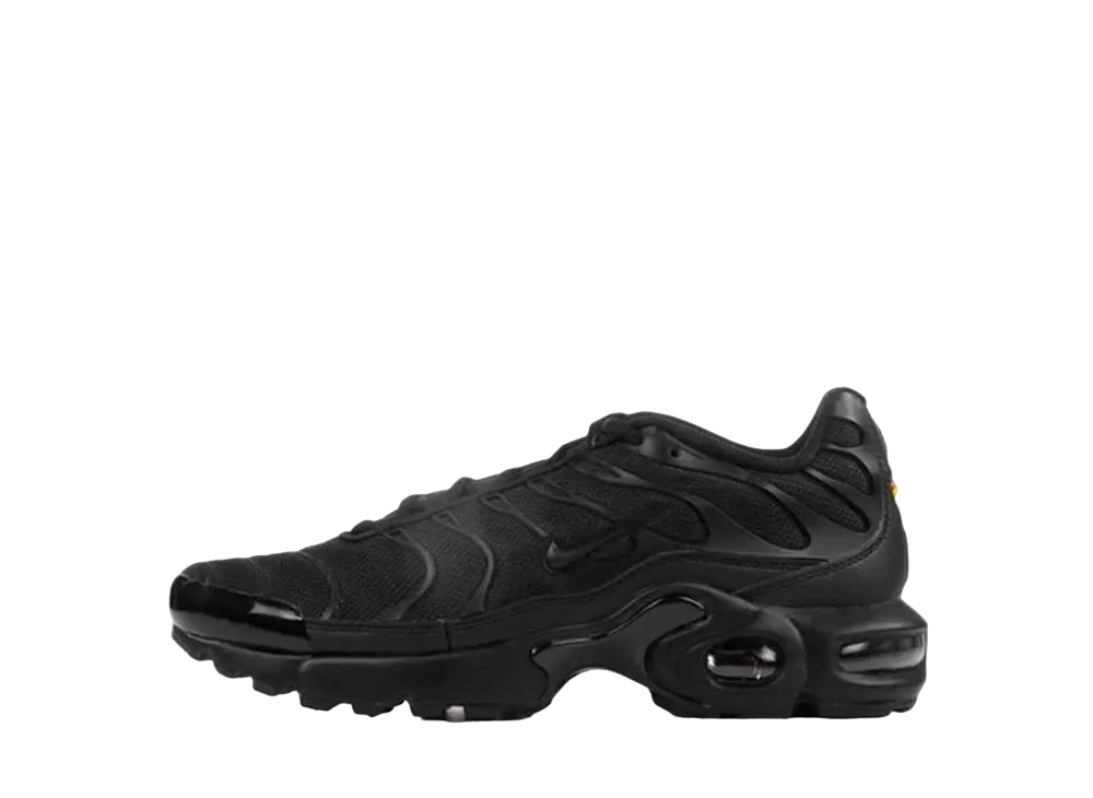 ナイキ GS エアマックス プラス "ブラック"