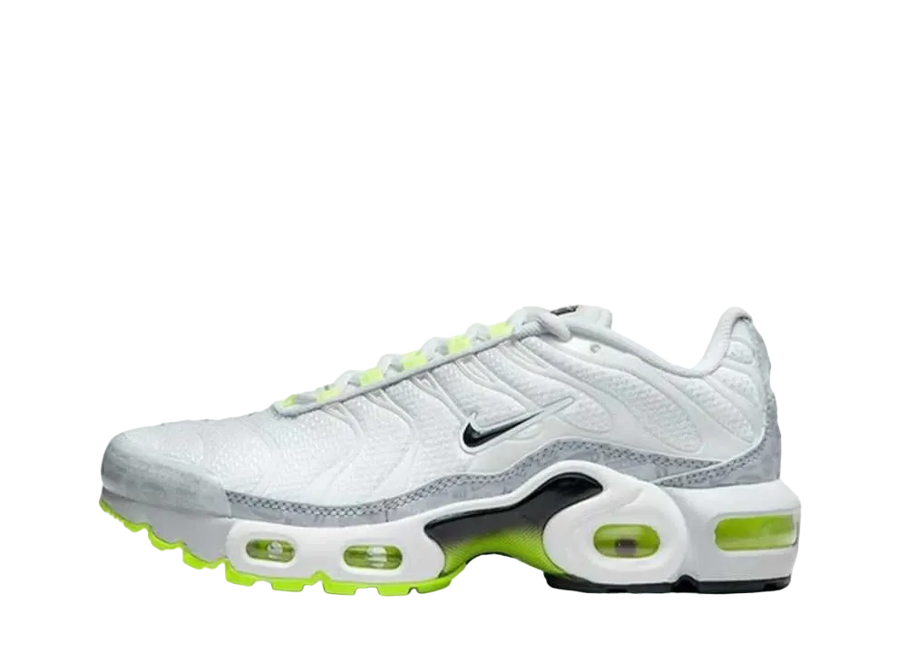 Nike GS Air Max Plus "Retro Air Max Logos"