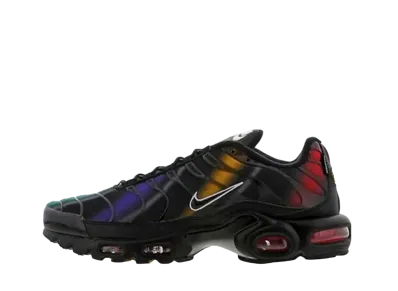 Nike Air Max Plus "Black Multi"