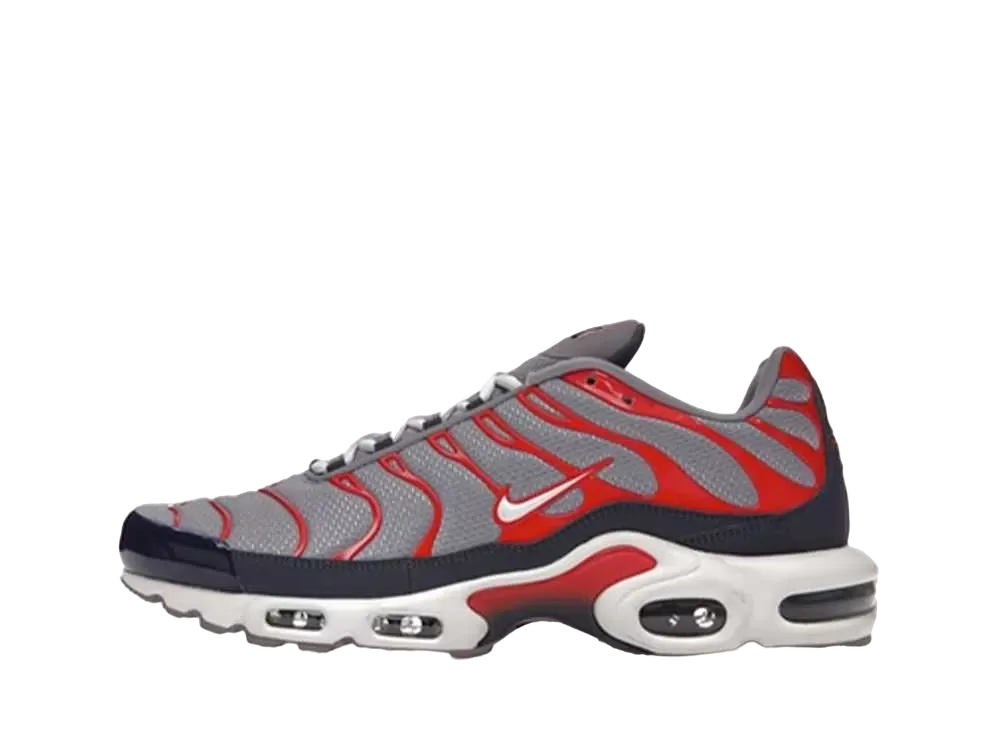 Nike Air Max Plus USA "Grey"