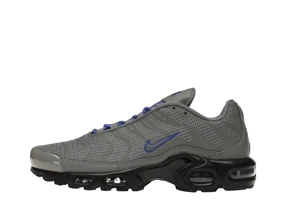 Nike Air Max Plus "Grey Reflective"
