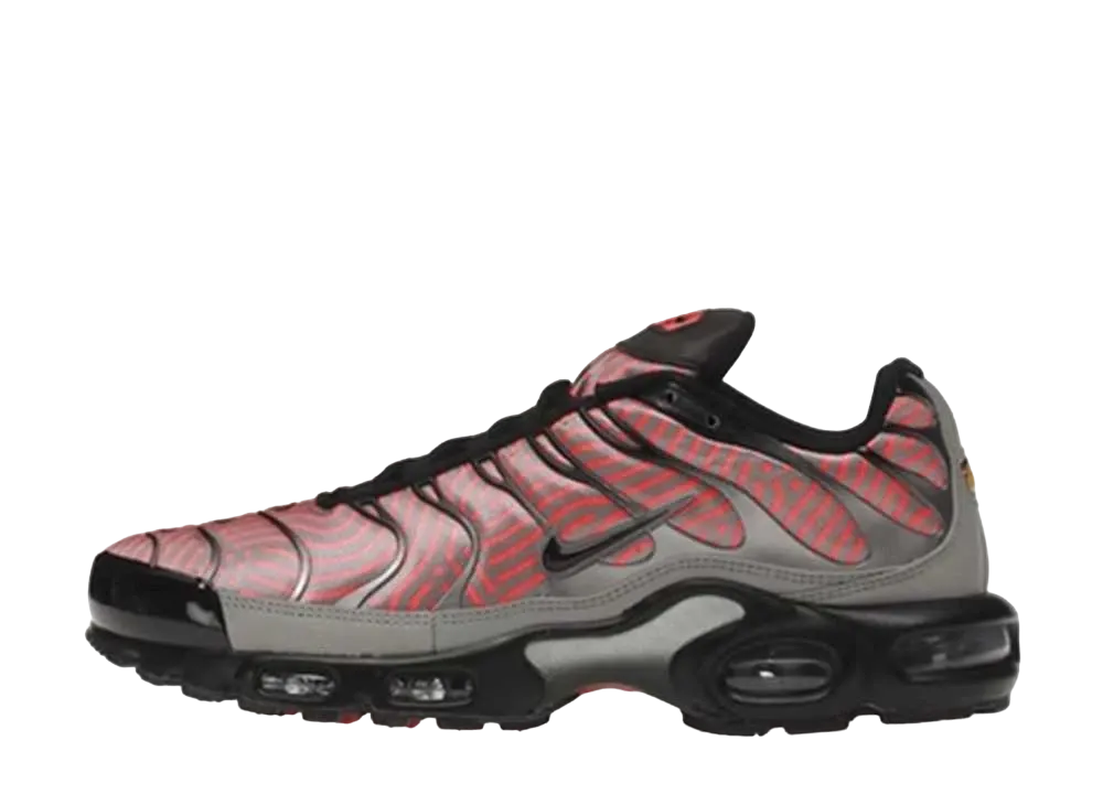 ナイキ エアマックス プラス "ユーロ ツアー レッド"