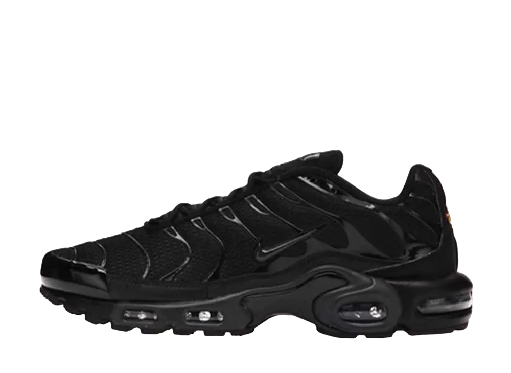 Nike Air Max Plus "Triple Black" (2021)