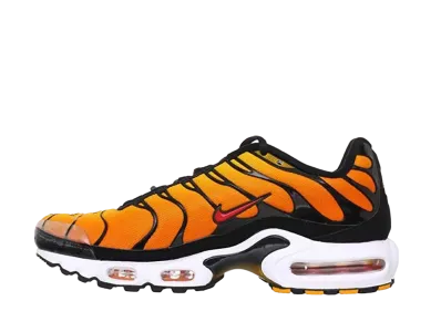 Nike Air Max Plus "Sunset" (2014)