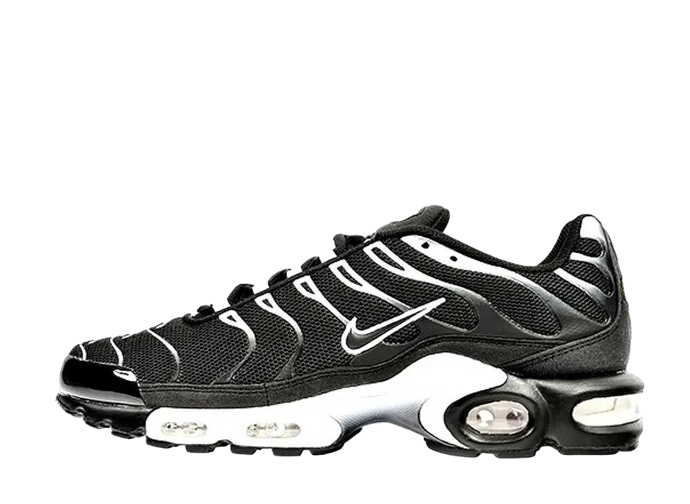 ナイキ エアマックス プラス  "フロスト ブラック ホワイト"
