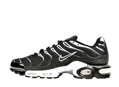 Nike Air Max Plus "Frost Black White"