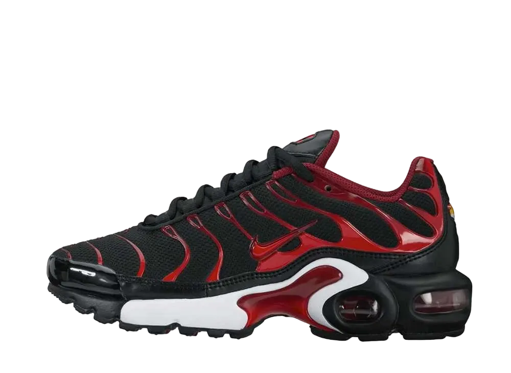 ナイキ GS エアマックス プラス "ブレッド"