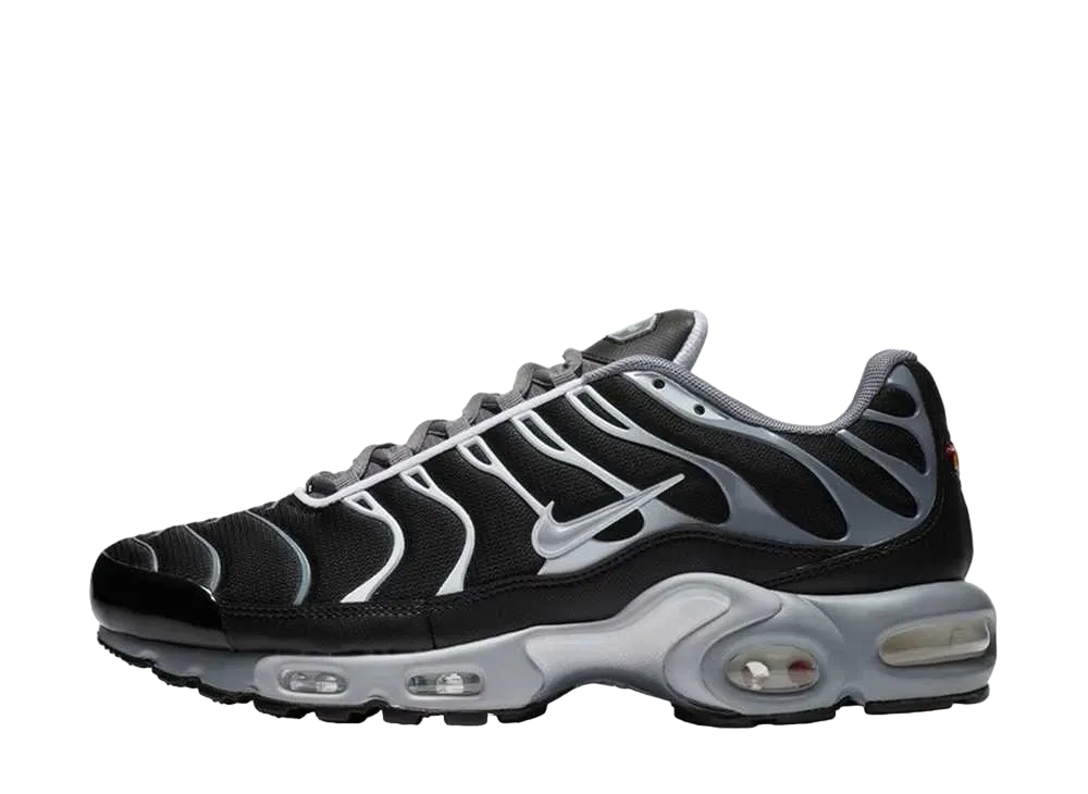 ナイキ エアマックス プラス "クール グレイ ウルフ グレイ"
