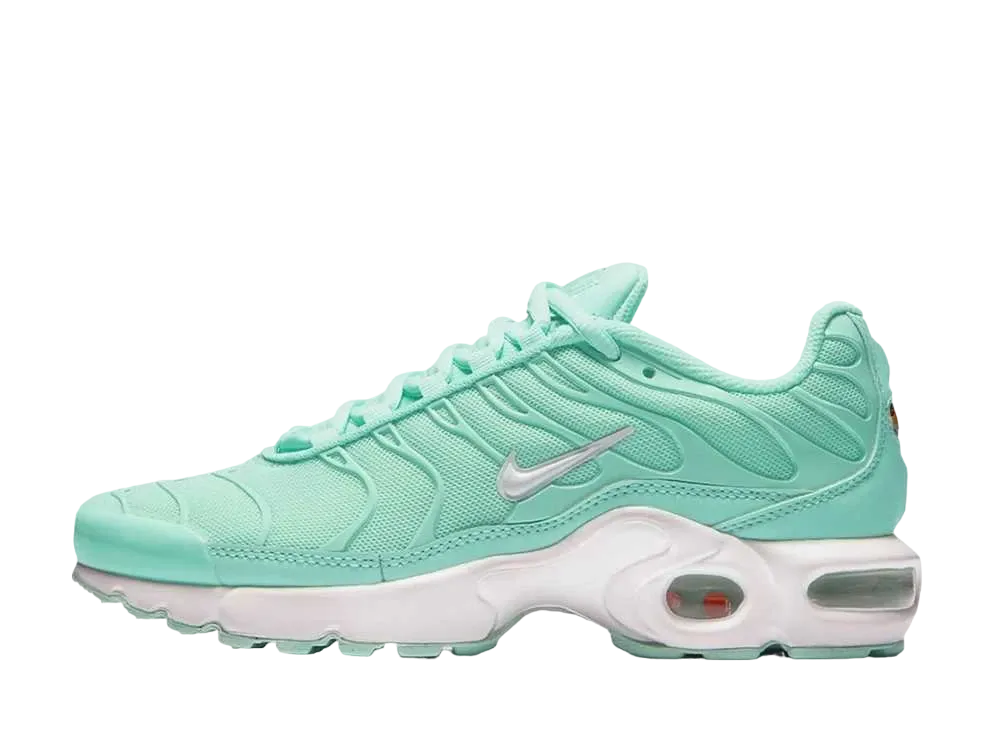 Nike GS Air Max Plus "Igloo"