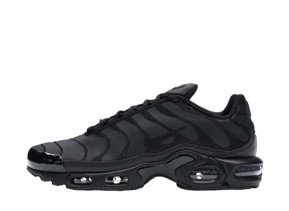 Nike Air Max Plus "Triple Black"