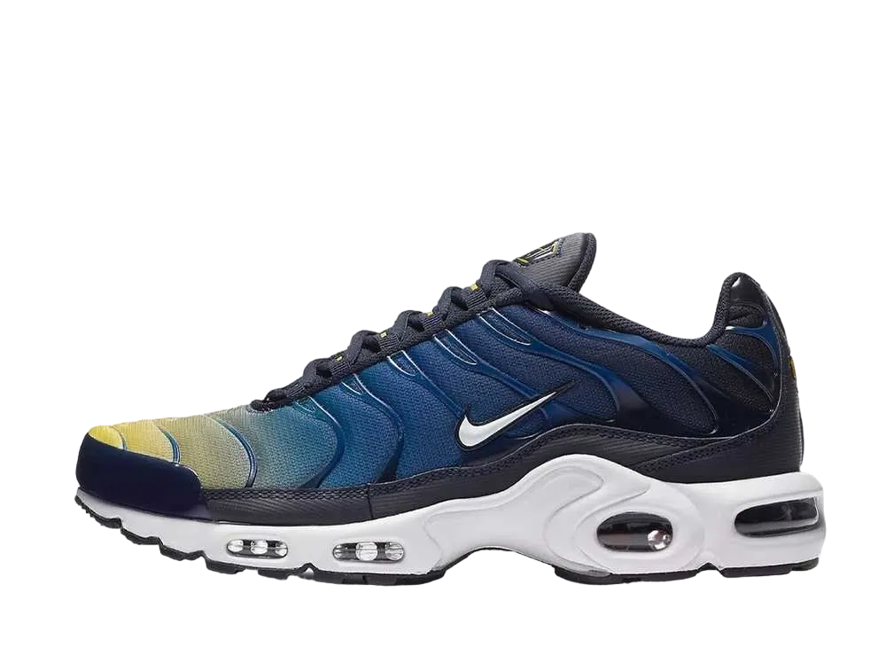 ナイキ エアマックス プラス "グレイディエント パック" (オブシディアン)