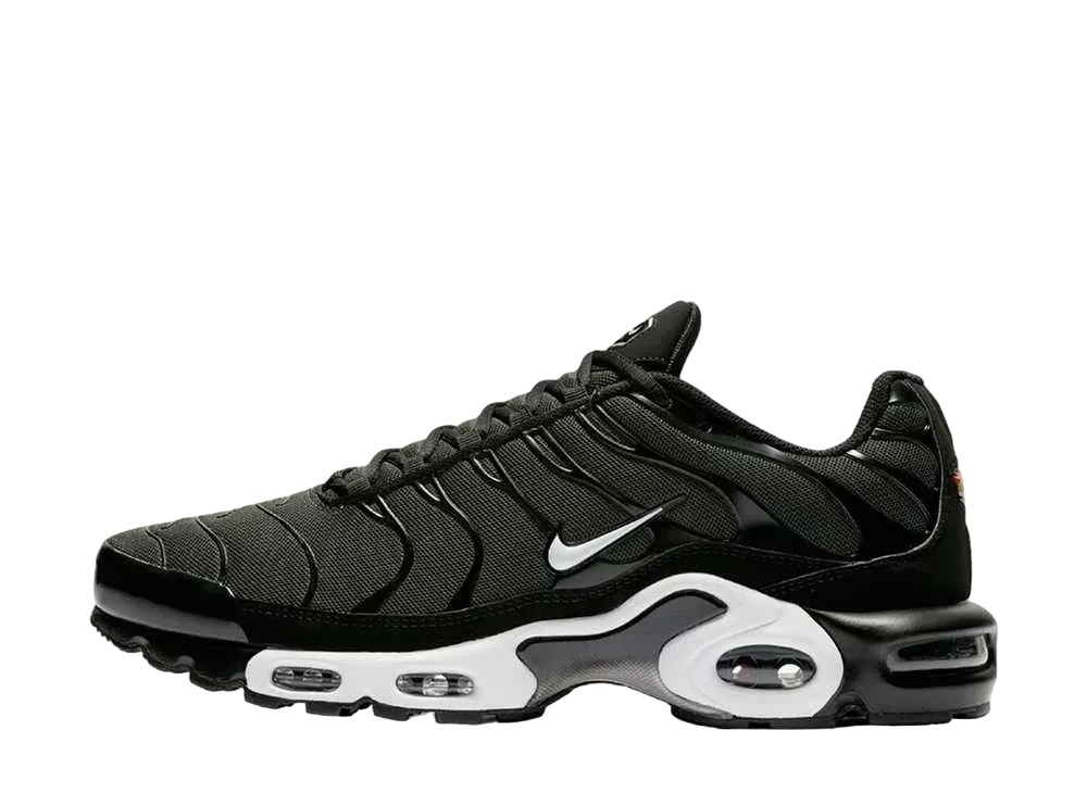 Nike Air Max Plus "Black Sequoia"