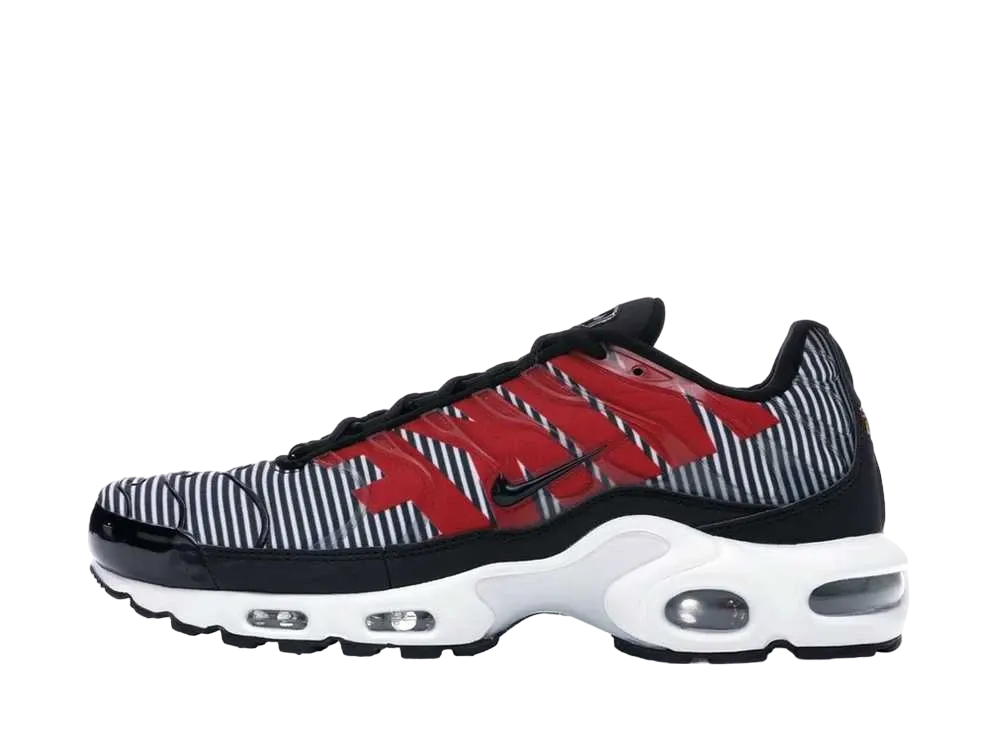 Nike Air Max Plus "Striped Black White"
