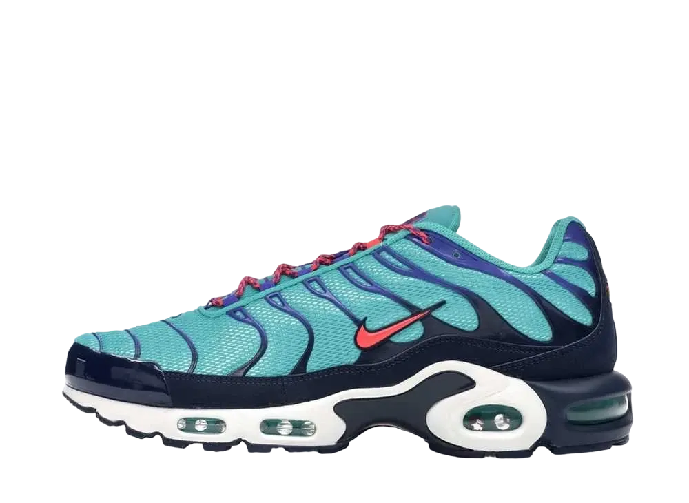 Nike Air Max Plus "Discover Your Air"