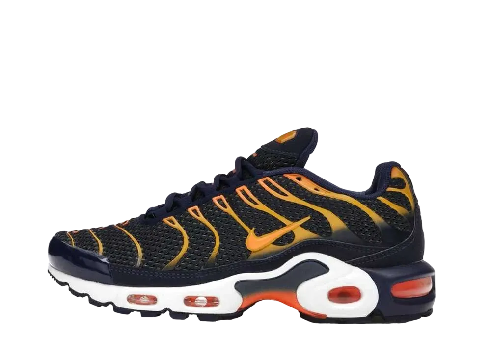 ナイキ エアマック プラス "ブルー ボイド ユニバーシティー ゴールド"