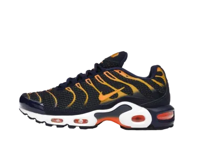 Nike Air Max Plus "Blue Void University Gold"