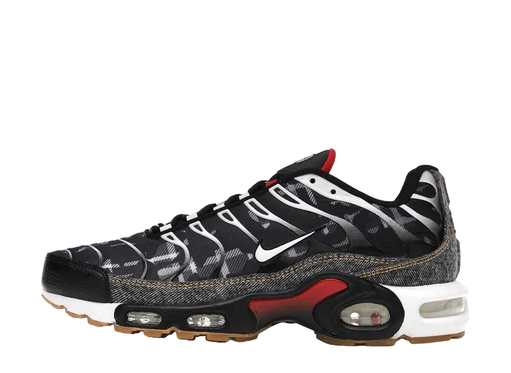 Nike Air Max Plus "Remix"