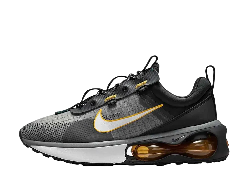 ナイキ エアマックス (2021) "アンスラサイト/ユニバーシティ ゴールド"